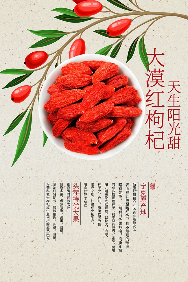 大漠红枸杞健康养生食品宣传海报