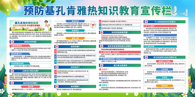 预防基孔肯雅热知识展板