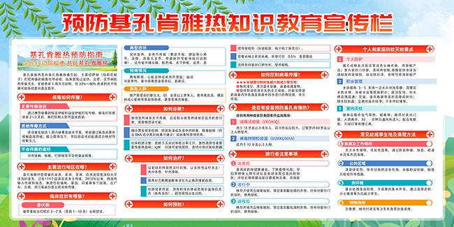 预防基孔肯雅热医疗知识防蚊行动展板