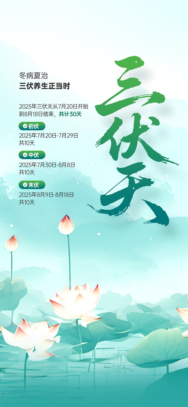绿色简约冬病夏治三伏养生正当时海报
