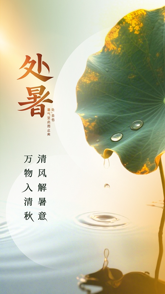 唯美处暑节气海报