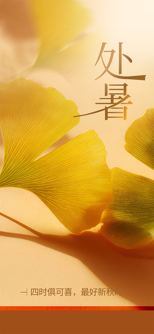 简约处暑节气海报