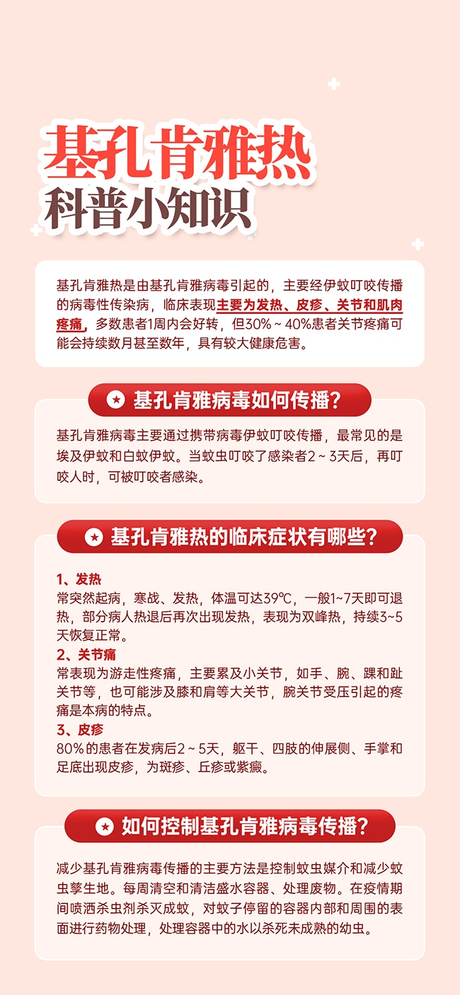 预防基孔肯雅热知识海报
