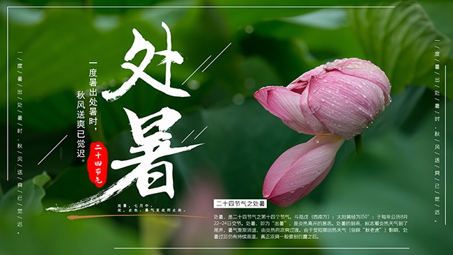 二十四节气处暑海报展板