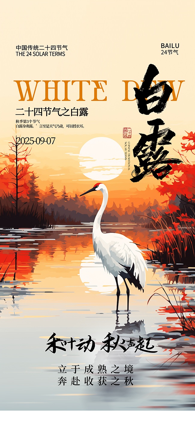 创意白露二十四节气海报