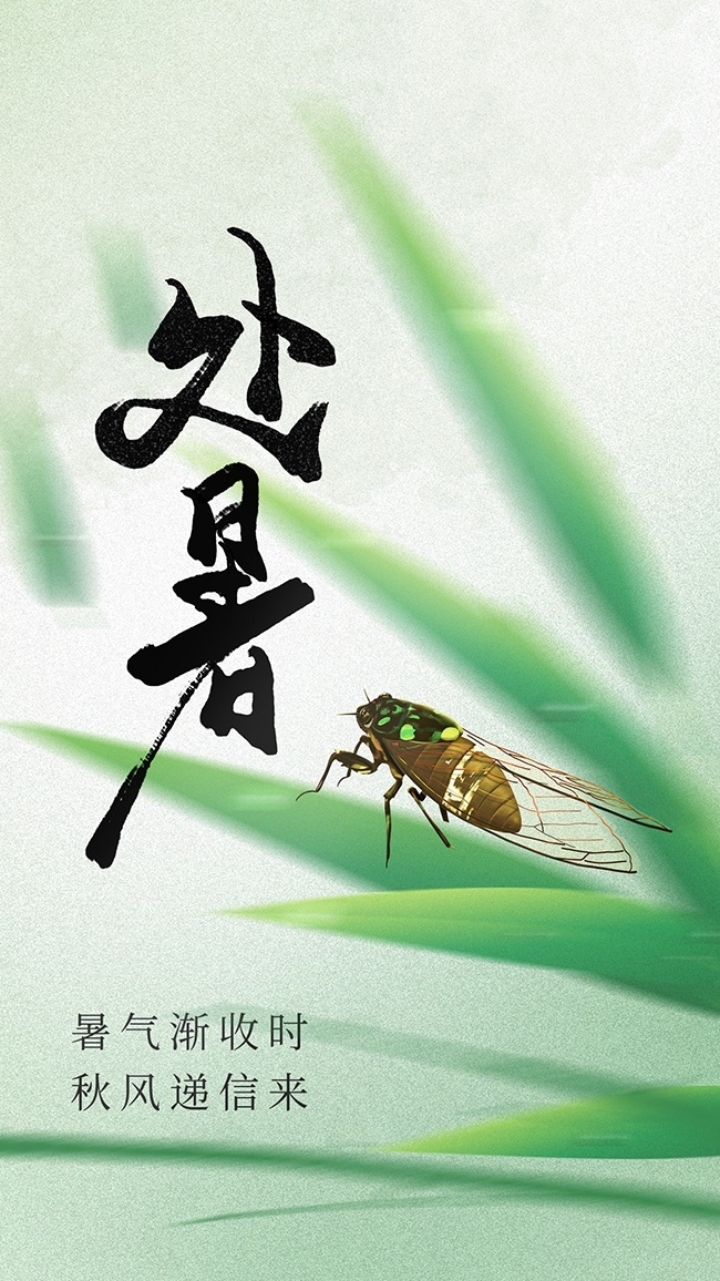 清新二十四节气处暑海报