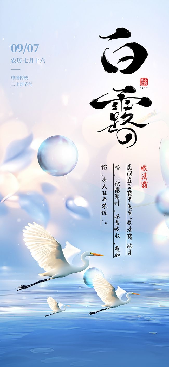 白露创意海报图片素材