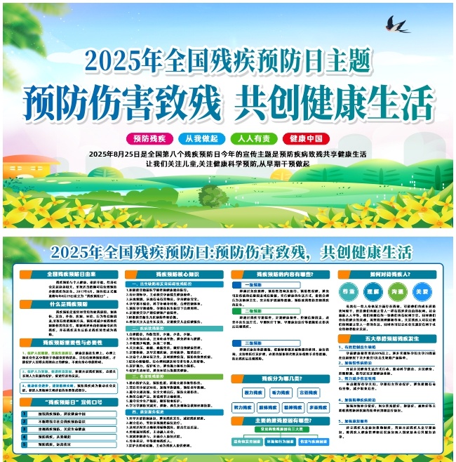 2025全国残疾预防日宣传展板