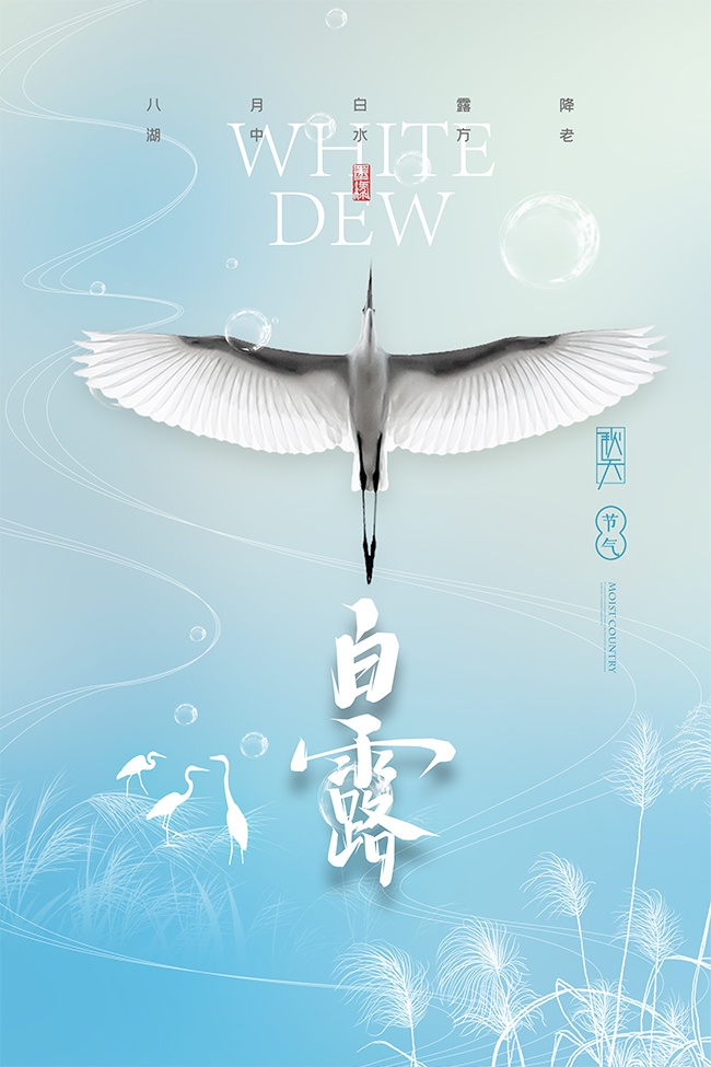 清新唯美白露节气宣传海报