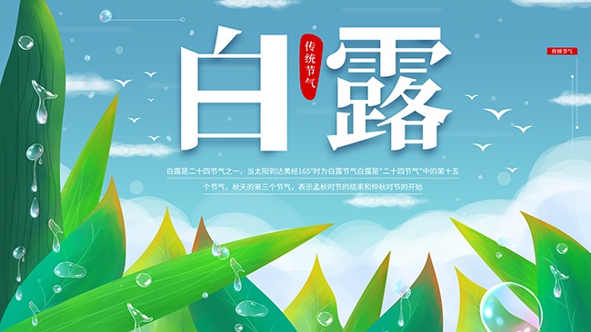 绿色清新白露节气展板