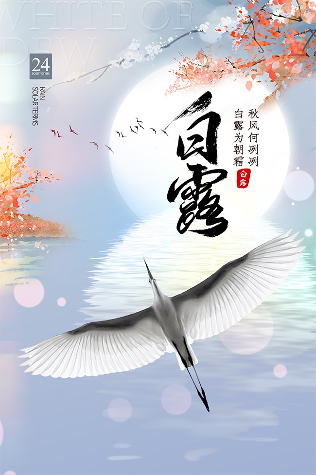 唯美文艺二十四节气白露宣传海报