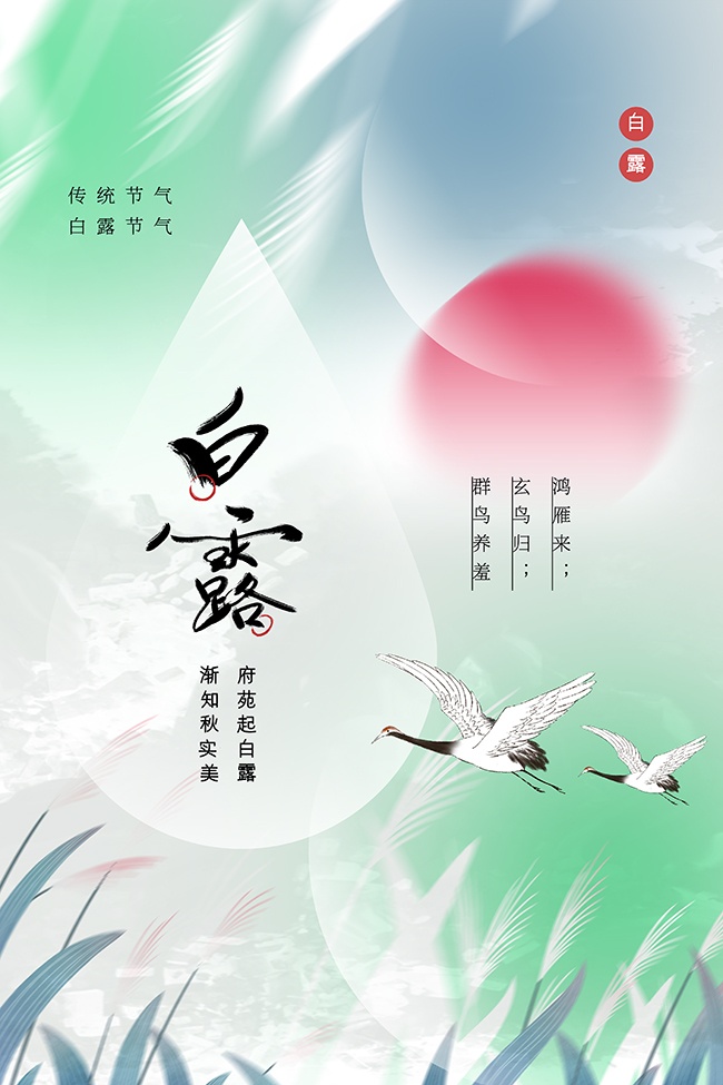 白露节气活动海报