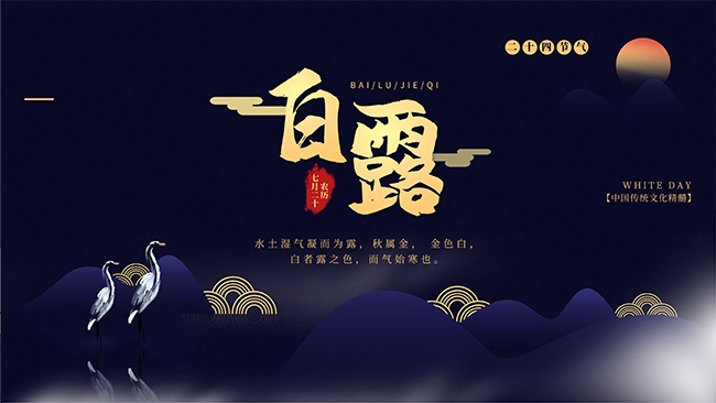 白露节气海报图片下载