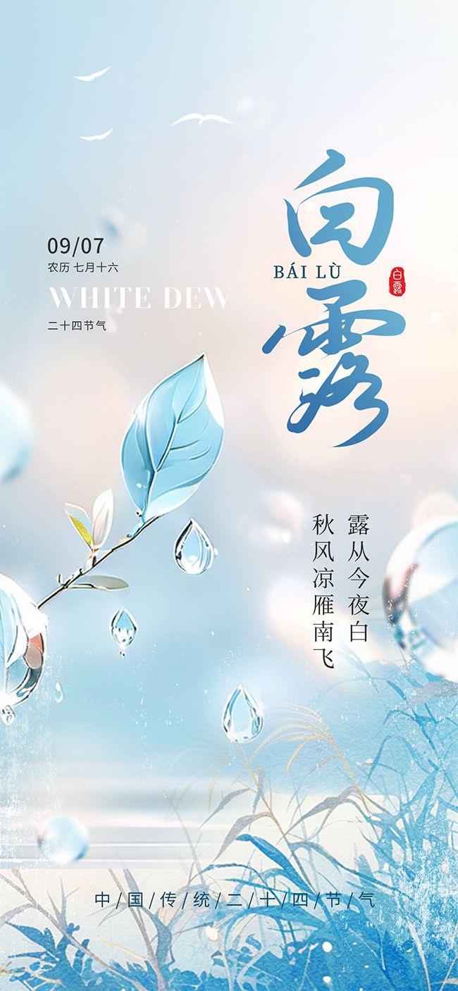 二十四节气白露广告