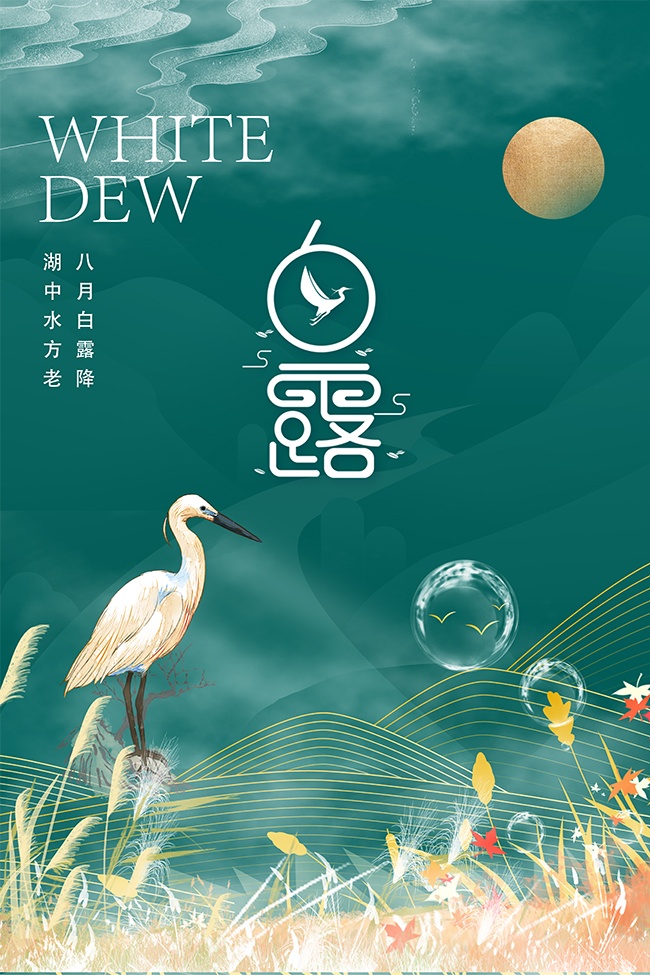 高级幽静传统白露节气宣传海报
