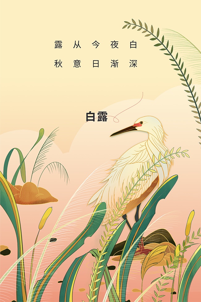 彩绘白露节气广告