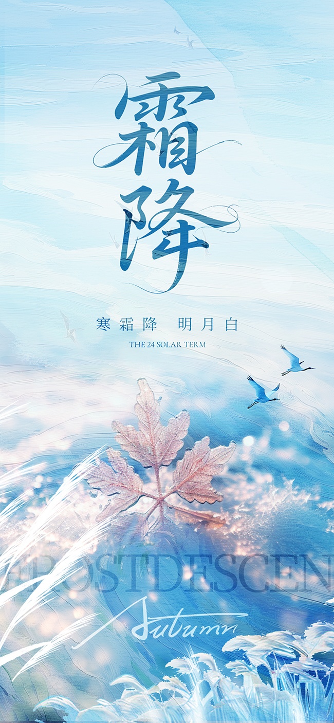二十四节气霜降广告