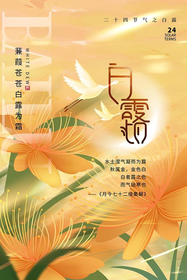 手绘花朵插画白露节气广告