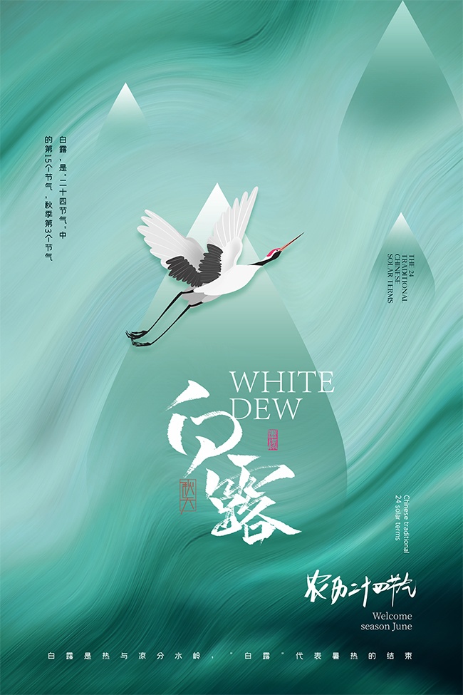 清新中国传统节气白露海报