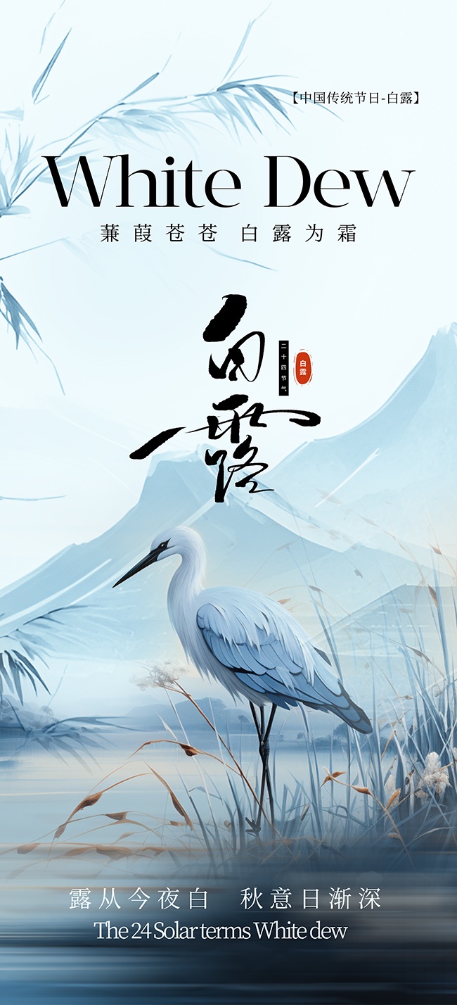 白露节气传统活动海报图片素材