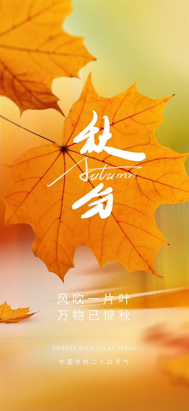 中国传统节气秋分广告