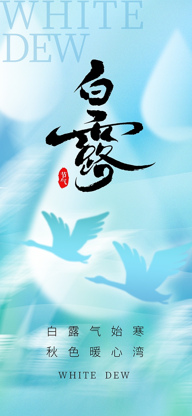蓝色背景白露节气广告