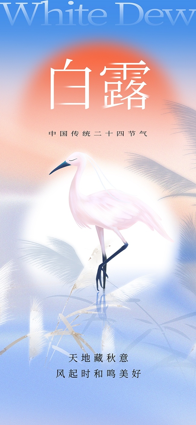 白露节气图片素材下载