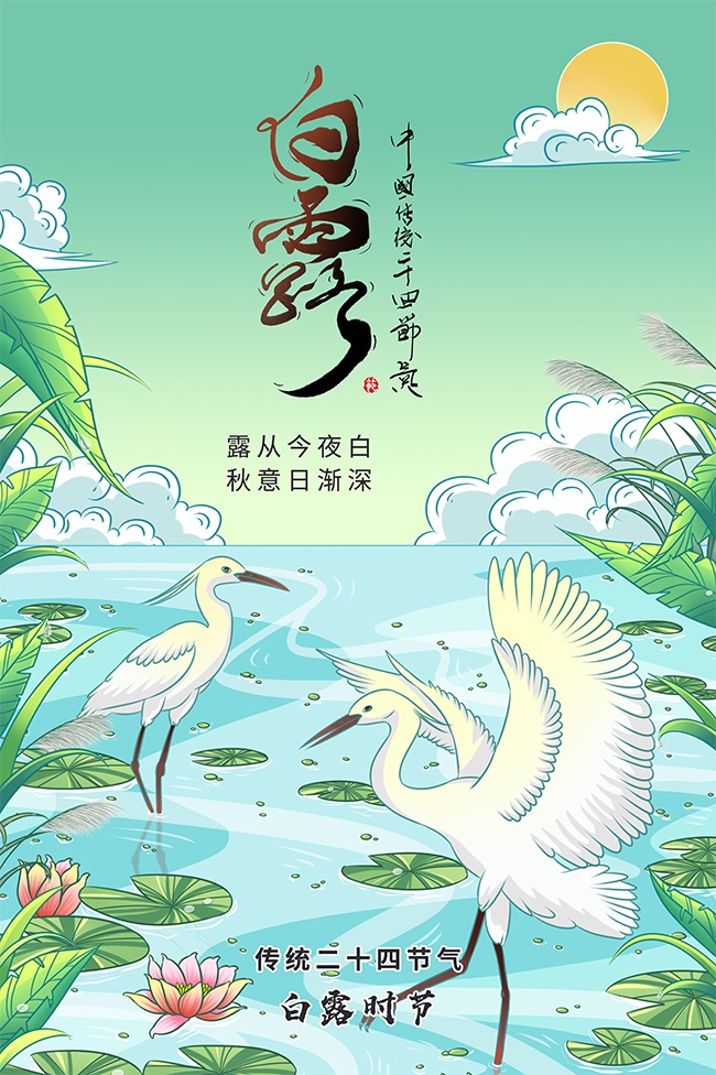 简约白露节气广告