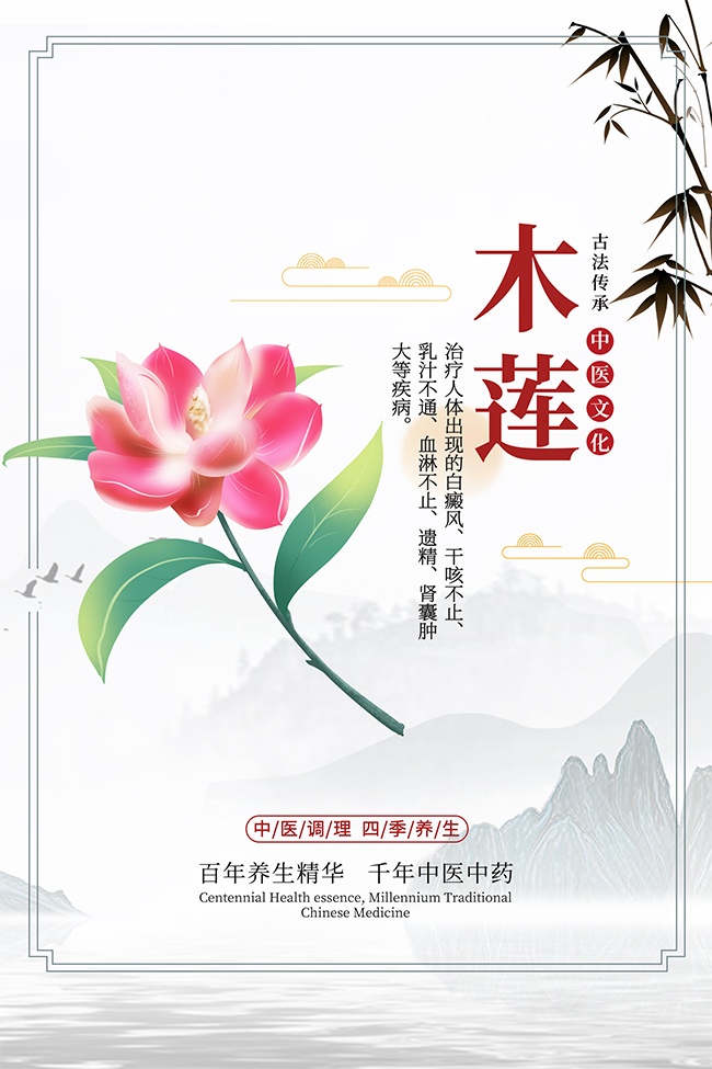 传统中医药木莲药理知识宣传图片素材