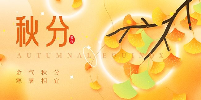 秋季银杏树枝二十四节气秋分宣传展板