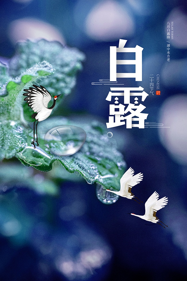 创意白露节气海报