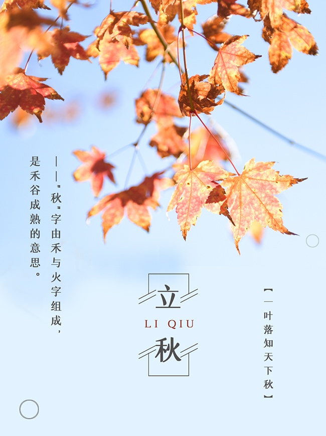 立秋节气图片素材下载