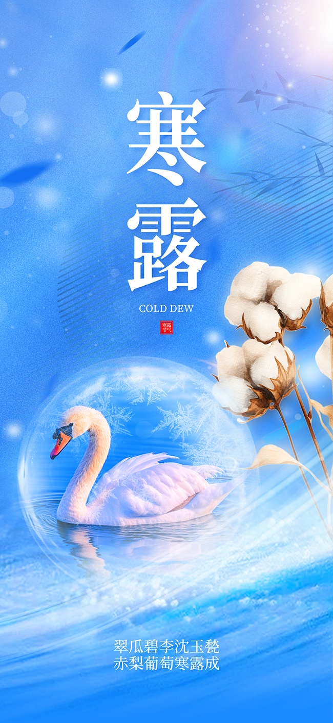 中国传统节气寒露广告
