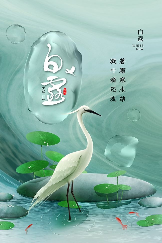简约白露节气海报