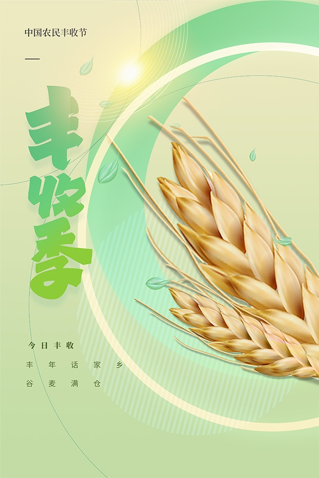 麦穗插画丰收节丰收季海报