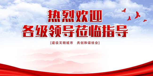热烈欢迎领导莅临指导展板