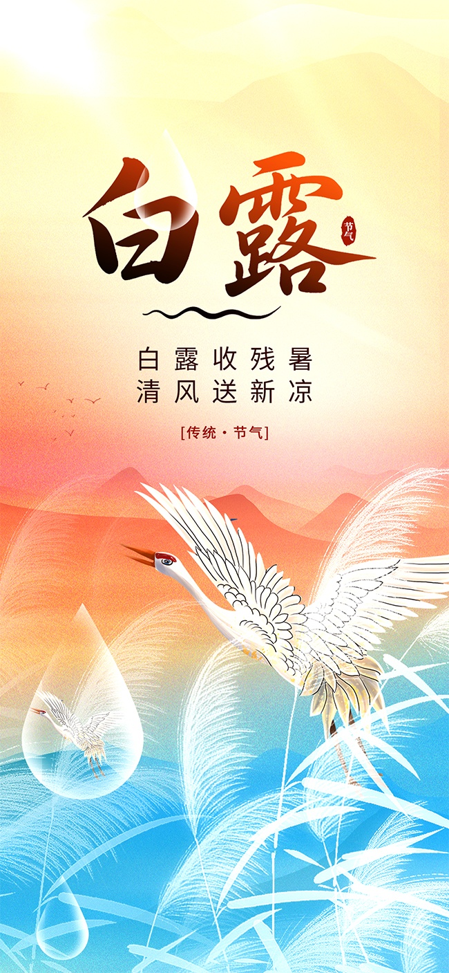 白露节气宣传图片素材