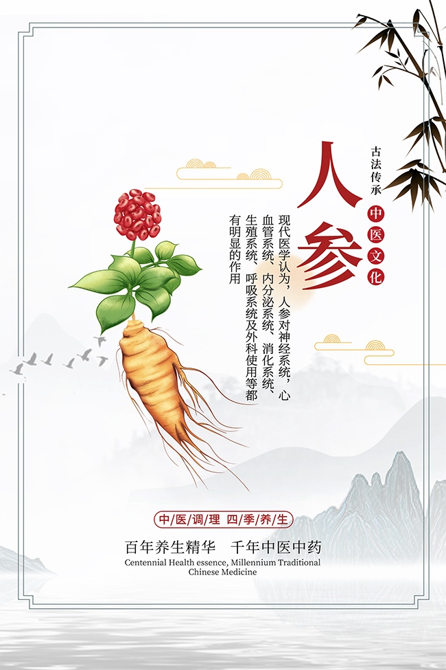 传统中医药人参药理知识海报