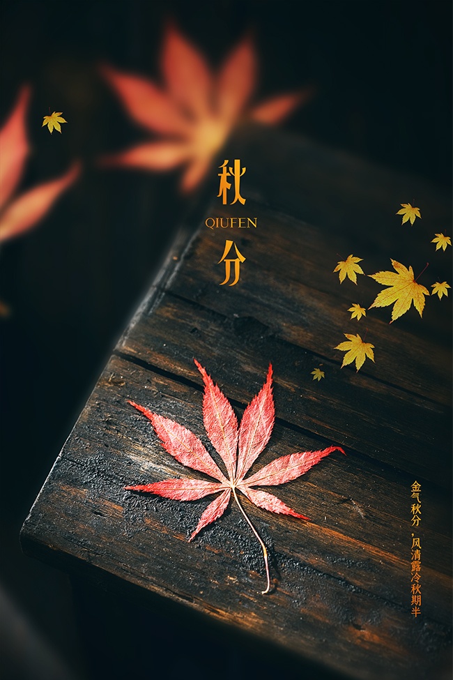 创意秋分节气海报