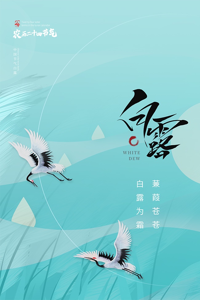 浅蓝唯美白露节气广告