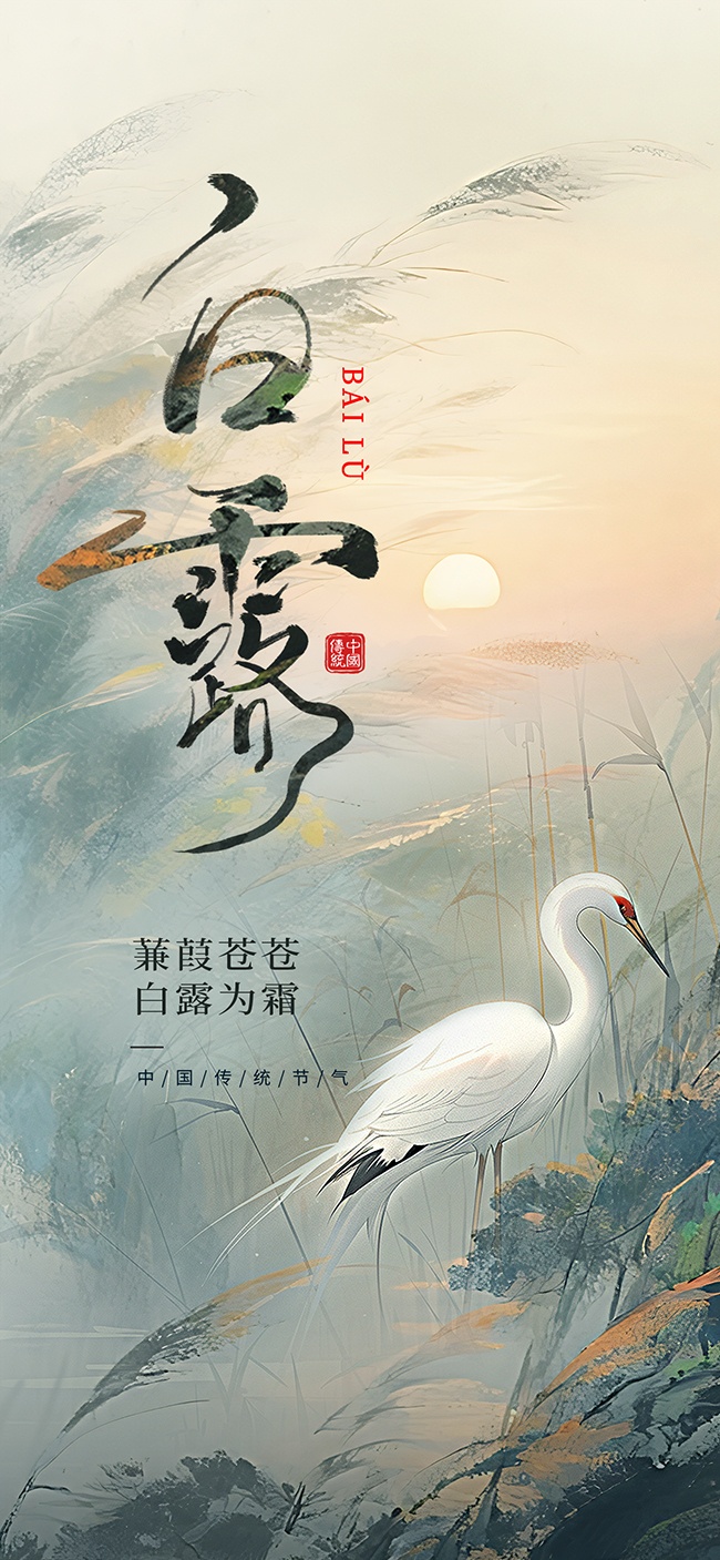 白露节气宣传图片下载