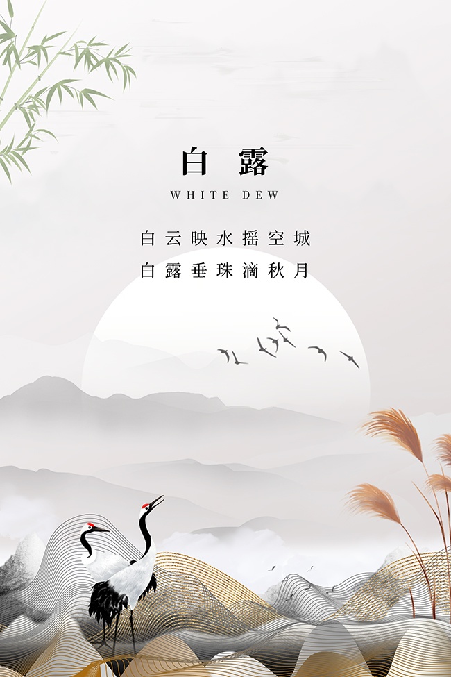 传统白露节气海报