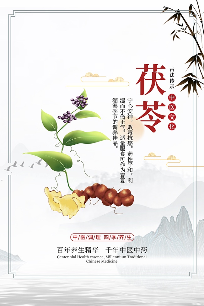 传统中医药茯苓药理知识海报图片素材