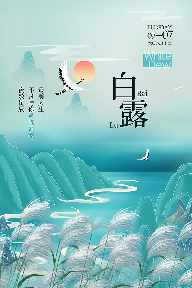 白露节气图片模板