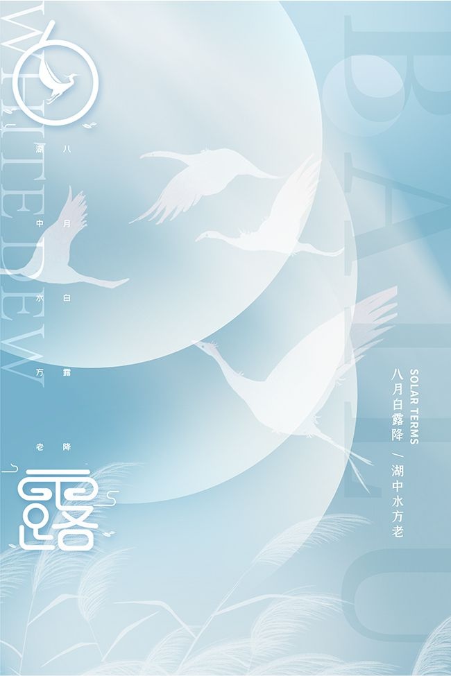 极简风清新白露节气广告