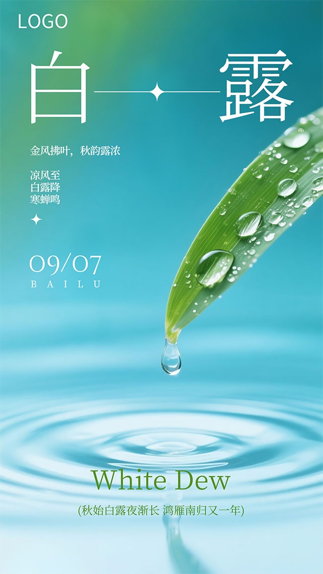简单白露节气宣传海报