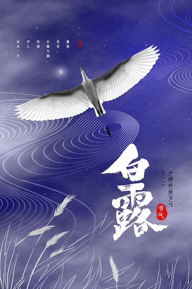 浪漫诗意白露节气海报