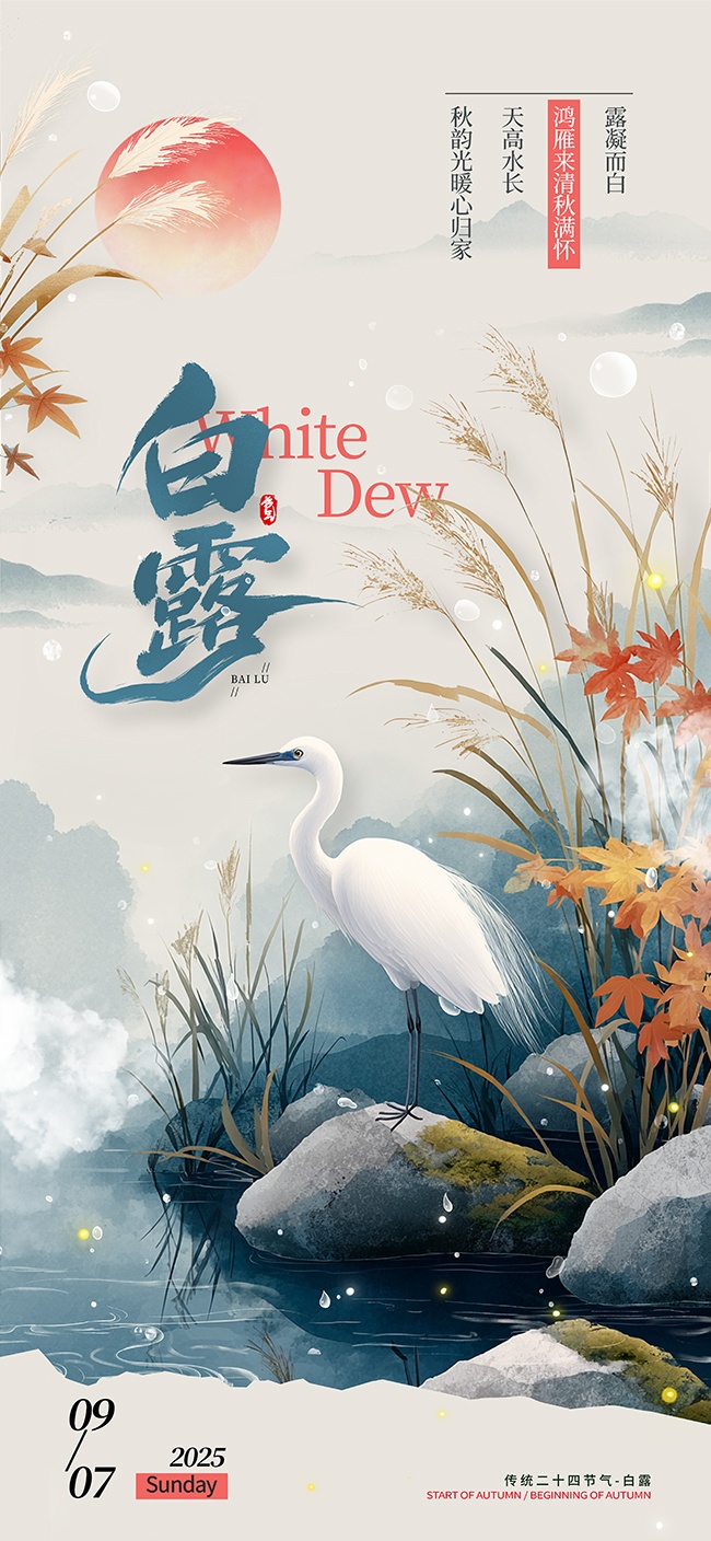传统白露节气广告