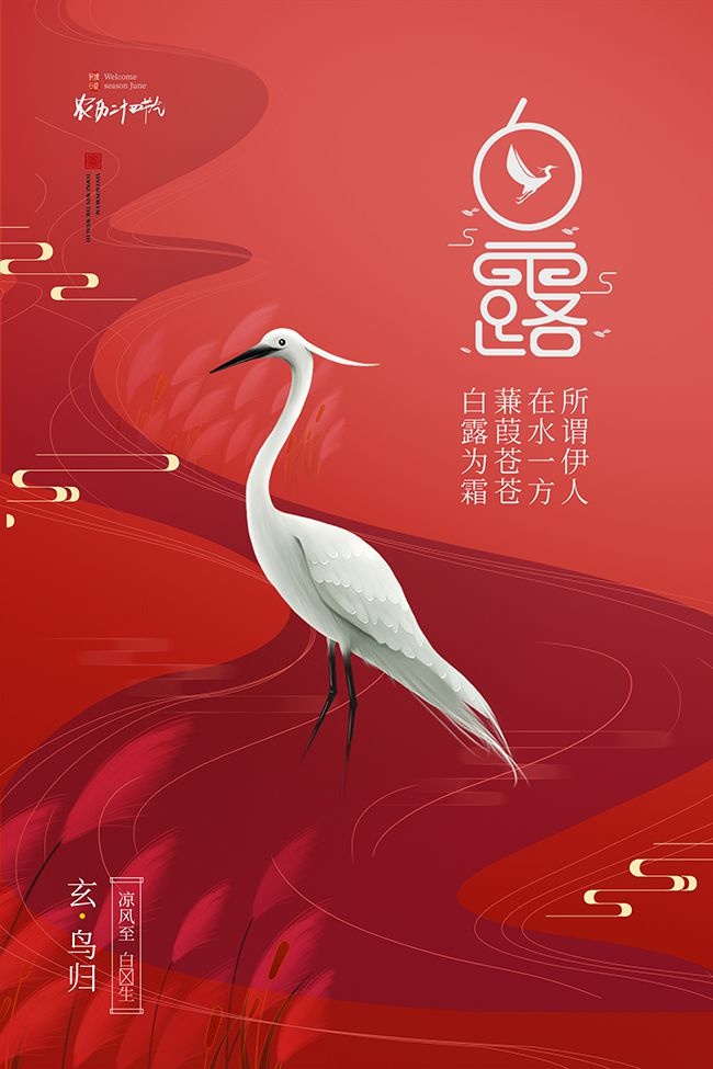 凉风至玄鸟归传统白露节气海报