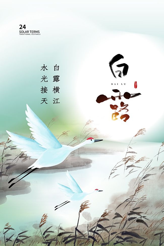 唯美白露节气海报